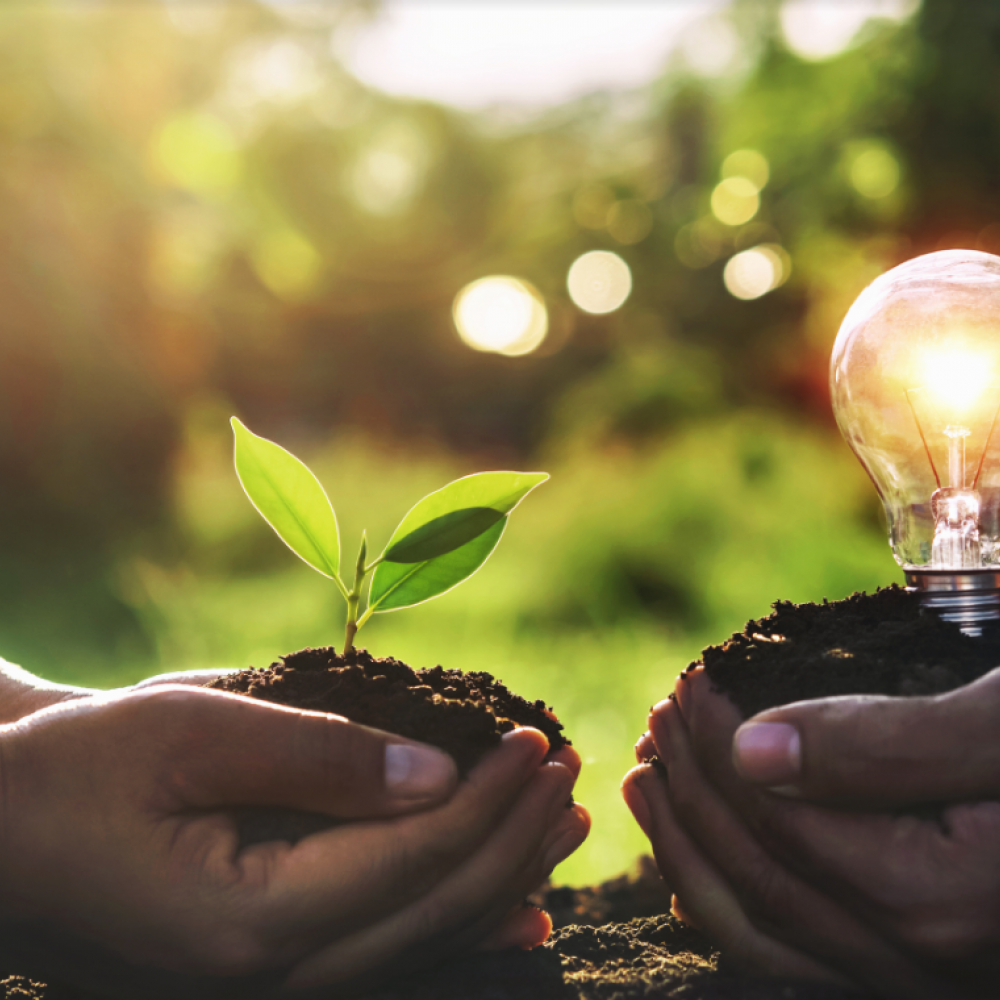 Vliv fotovoltaiky a komunitní energetiky na energetickou soběstačnost